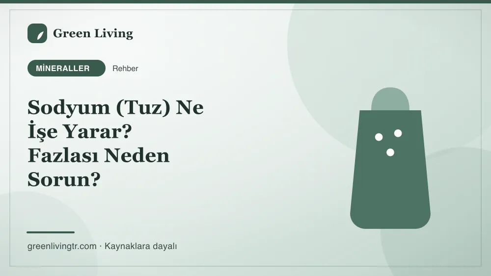 Sodyum (Tuz) Ne İşe Yarar? Fazlası Neden Sorun? — Green Living