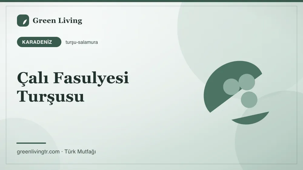 Çalı Fasulyesi Turşusu — Karadeniz mutfağı