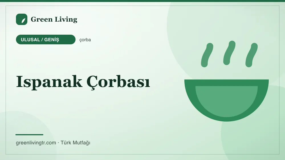 Ispanak Çorbası — Ulusal / Geniş mutfağı