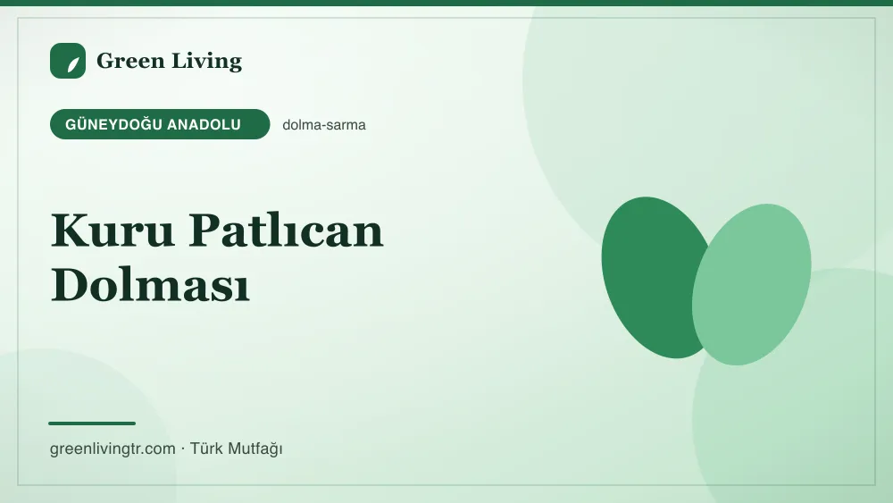 Kuru Patlıcan Dolması — Güneydoğu Anadolu mutfağı