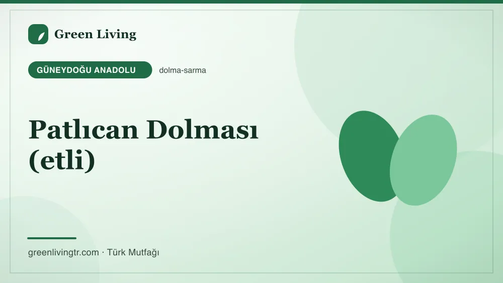 Patlıcan Dolması (etli) — Güneydoğu Anadolu mutfağı