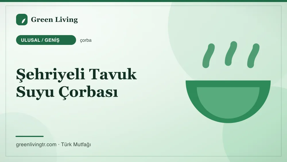 Şehriyeli Tavuk Suyu Çorbası — Ulusal / Geniş mutfağı