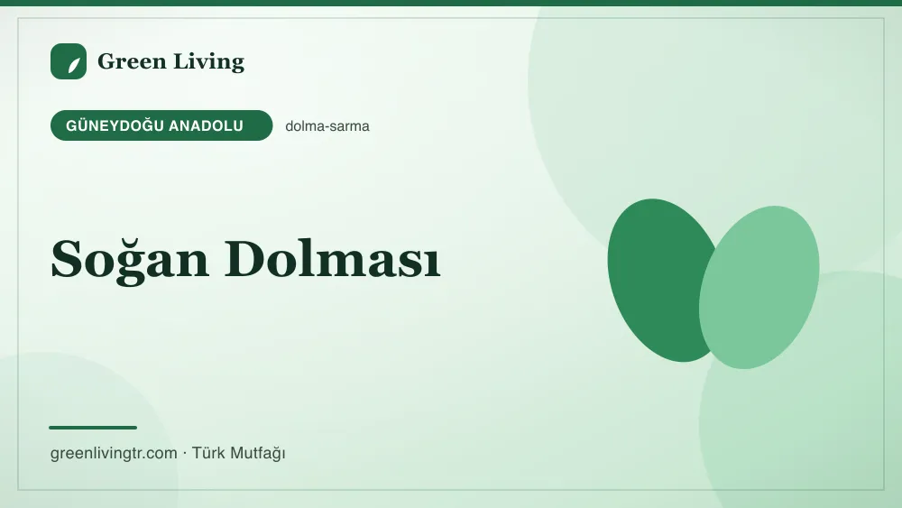 Soğan Dolması — Güneydoğu Anadolu mutfağı