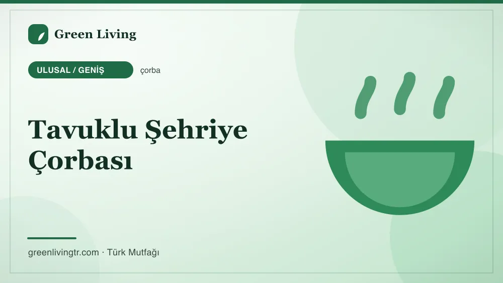 Tavuklu Şehriye Çorbası — Ulusal / Geniş mutfağı