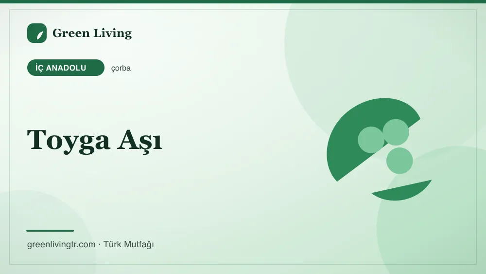 Toyga Aşı — İç Anadolu mutfağı
