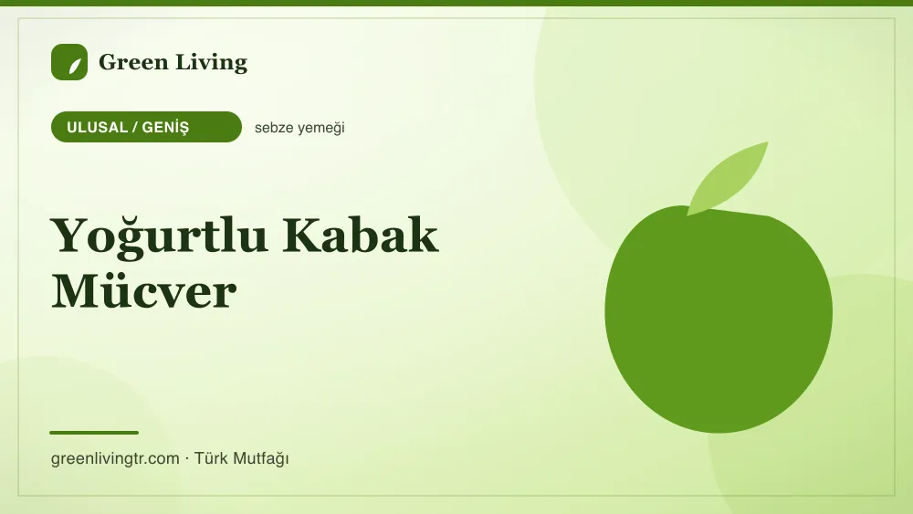Yoğurtlu Kabak Mücver — Ulusal / Geniş mutfağı